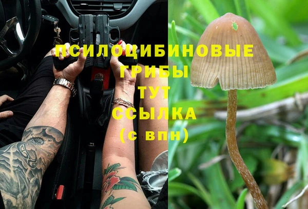 МДМА Алексеевка